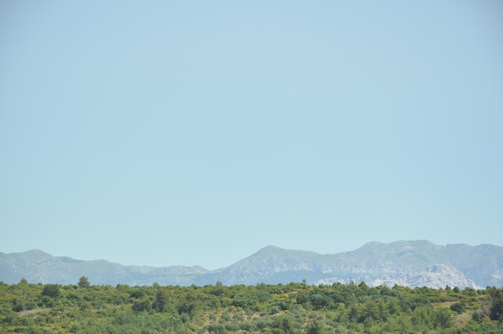 Apartments Smilja Ljubač Εξωτερικό φωτογραφία